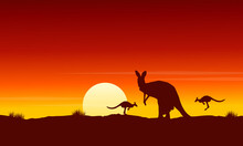 Silhouette Kangaroo At Sunrise Landscape