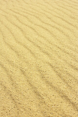  Sand Texture./ Sand Texture. 