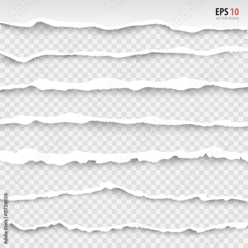Cuadros en Lienzo Torn paper edges, horizontally, vector