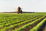 Fototapeta Panele - Tractor spraying soybean field at spring