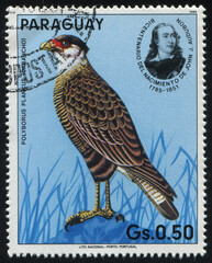 Sticker - bird Paraguay stamp