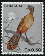 Poster - bird Paraguay stamp