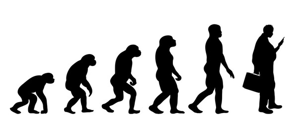 Wall Mural - Vector silhouette of evolution of man.