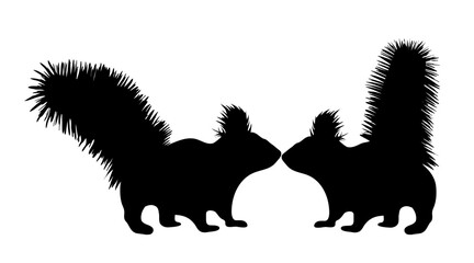 Poster - Vector silhouette of squirrel on white background.