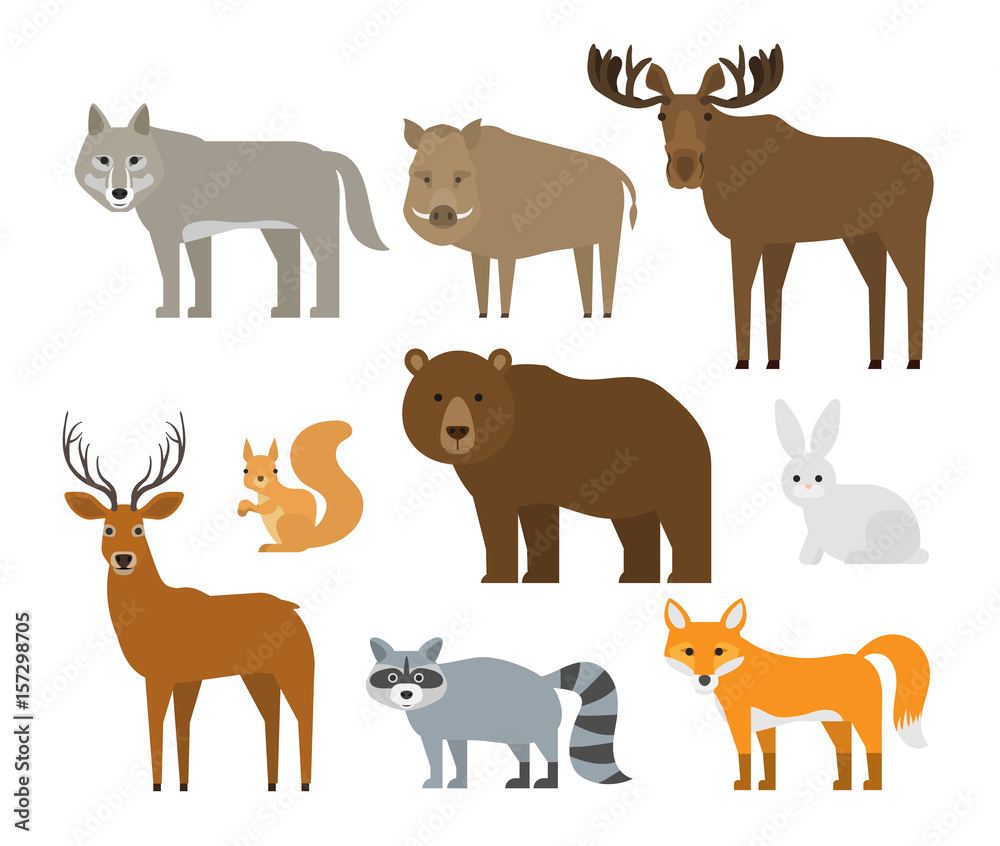 forest animals set on white background Stock Vector | Adobe Stock