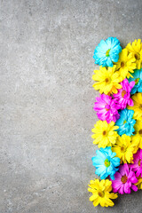 Wall Mural - Colorful flowers on gray stone background