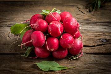 Large bunch of fresh radish.