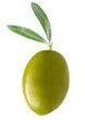 green olive isolated on a white background