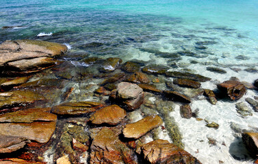 Wall Mural - Rock in clear sea water.