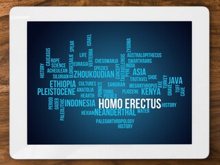 Wall Mural - Homo erectus