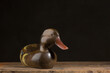 Vintage wooden duck decoy
