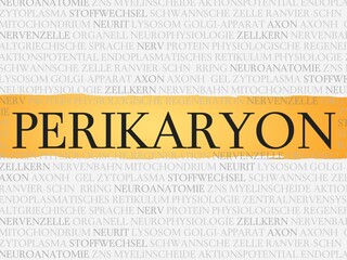 Sticker - Perikaryon