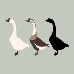 goose vector illustration style Flat set silhouette