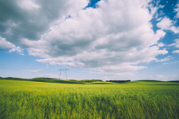 Wall Mural - pylon on the field