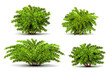 Shrubbery, 3d isometric bushes isolated on white vector set