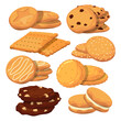 Different cookies in cartoon style. Vector icons set isolate on white