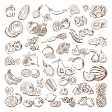 Vector Hand Drawn Pictures Of Fruits And Vegetables. Doodle Vegan Food Illustrations