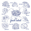 Doodle set of fresh salad - Sonchus, Chicory, Lollo Rosso, Radicchio, Corn, Romaine, Arugula, Green Oak, Butterhead, Iceberg, hand-drawn. Vector sketch illustration isolated over white background.