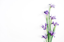 Beautiful Purple Iris Flowers Bouquet On White Background. Flat Lay, Top View