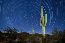 Saguaro Cactus Startrails Nightsky Landscape