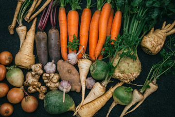 Root crops, carrots, parsley root, turnip, onion, garlic, Jerusalem artichoke, horseradish. Root crops background. Food background