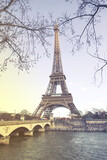 Fototapeta Boho - Eiffel tower.