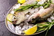 Seafood. Two raw rainbow trouts marinated with lime, rosemary
