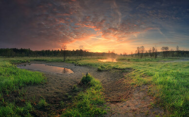 Sticker - Summer morning landscape