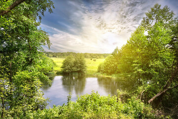 Wall Mural - river bank with the green trees and meadow