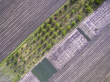 © Bokicbo - Above agricultural fields