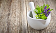 Medicine fresh herbs with white mortar