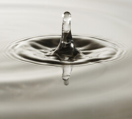 Wall Mural - Splashes of water. Water drops. Photo of drop of a drop in water.