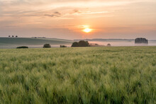French Countryside. Typical Landscape With View Over The Lorraine Wheat Fields In Dawn.