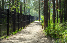 Nature. Forest Path Along The Fence