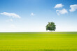 © shocky - campagne champ arbre printemps ciel bleu repos calme paysage nature vert horizon