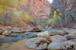 Narrows in Zion National Park, Utah, United States