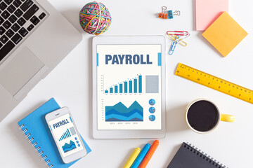 Wall Mural - Business Graphs and Charts Concept with PAYROLL word