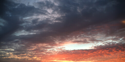 Wall Mural - Cloud sky at evening.