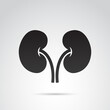 Kidney vector icon.