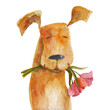 Red dog with flowers. Watercolor illustration. Hand drawing