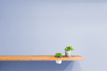 Wooden Shelf On Purple Vintage Wall With Plant.