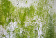 Peeling Paint Pattern On Mossy Concrete Wall Texture