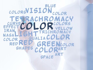 Wall Mural - Color