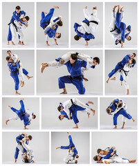 Wall Mural - The two judokas fighters fighting men