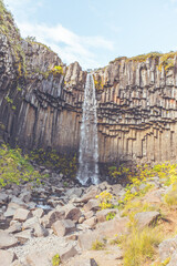 Wall Mural - Svartifoss Waterfall in Iceland