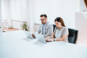 Wall Mural - Successful office workers