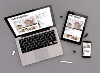 Canvas Print - responsive design cats video streaming zenith view