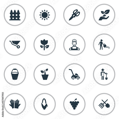Vector Illustration Set Of Simple Garden Icons Elements Blossom