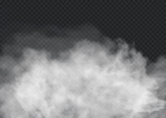 fog or smoke isolated transparent special effect. white vector cloudiness, mist or smog background. 
