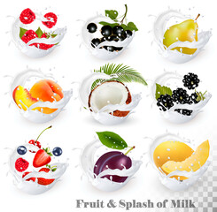 Wall Mural - Big collection of fruit in a milk splash. Strawberry, blackberry, grandberry, plum, pear, peach, strawberry, coconut, honeydew. Vector Set 15.